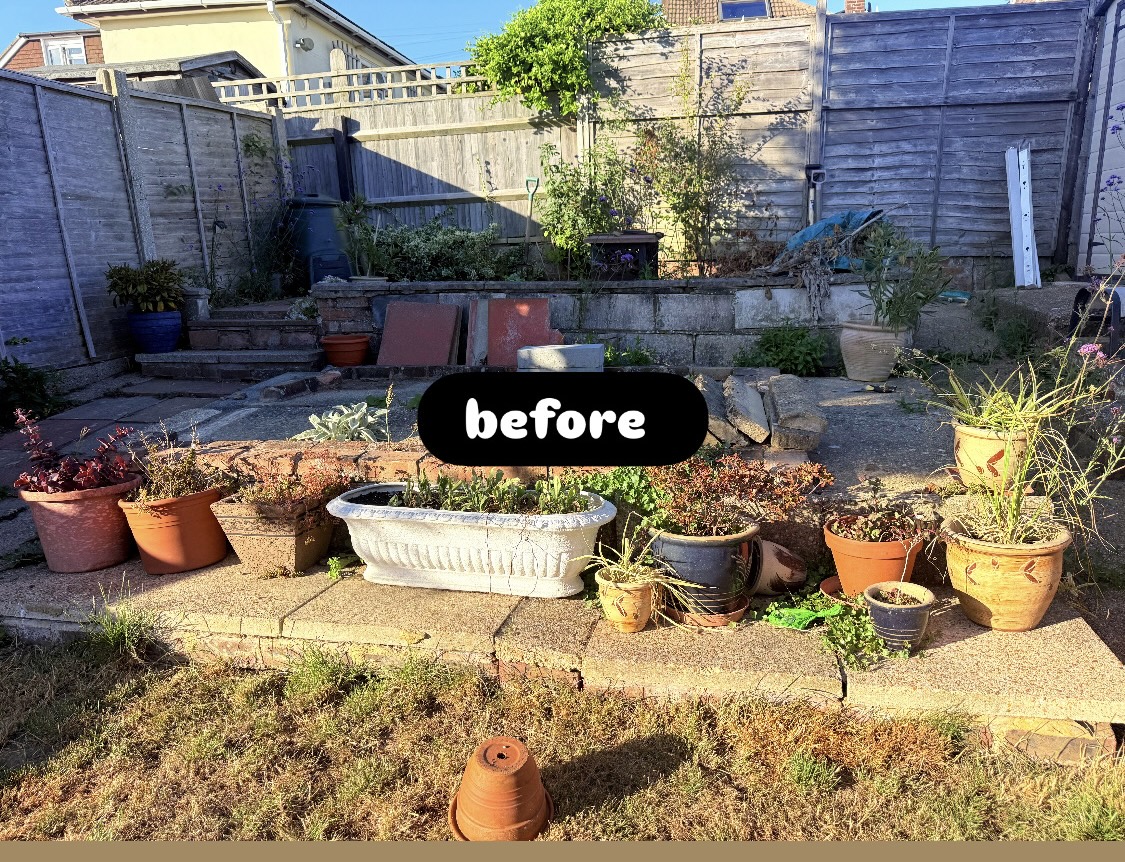 Overgrown back garden with old paving before renovation